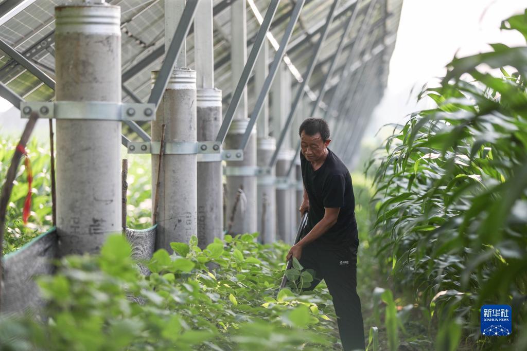 长乐坊游戏充值平台