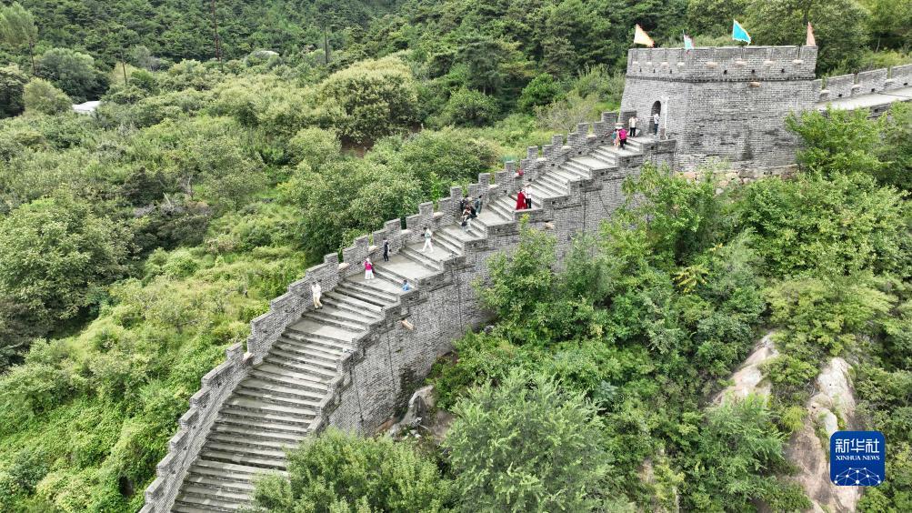 永利登录网址官方网站